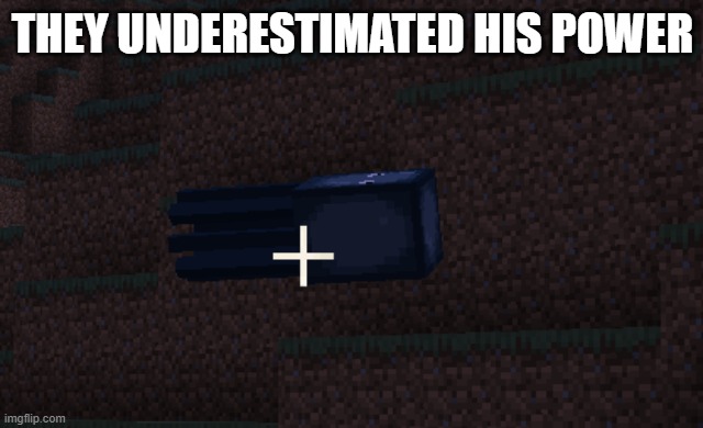 flying squid | THEY UNDERESTIMATED HIS POWER | image tagged in flying squid,minecraft | made w/ Imgflip meme maker