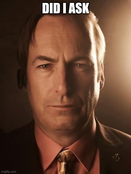 Saul Goodman | DID I ASK | image tagged in saul goodman | made w/ Imgflip meme maker