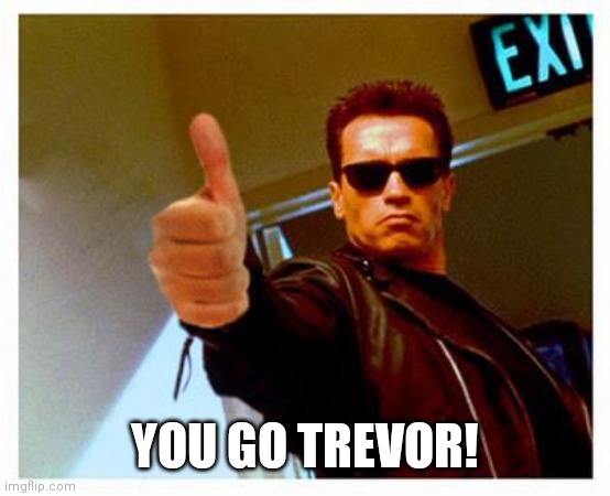 Probably my weirdest (without context) | YOU GO TREVOR! | image tagged in terminator thumbs up | made w/ Imgflip meme maker