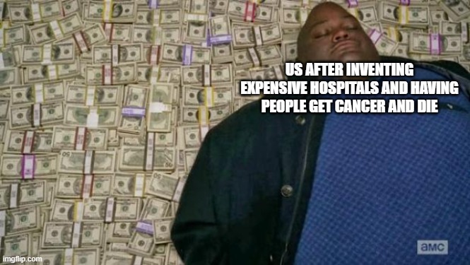 huell money | US AFTER INVENTING EXPENSIVE HOSPITALS AND HAVING PEOPLE GET CANCER AND DIE | image tagged in huell money | made w/ Imgflip meme maker