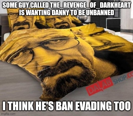 Breaking Bed | SOME GUY CALLED THE_REVENGE_OF_DARKHEART IS WANTING DANNY TO BE UNBANNED; I THINK HE'S BAN EVADING TOO | image tagged in breaking bed | made w/ Imgflip meme maker