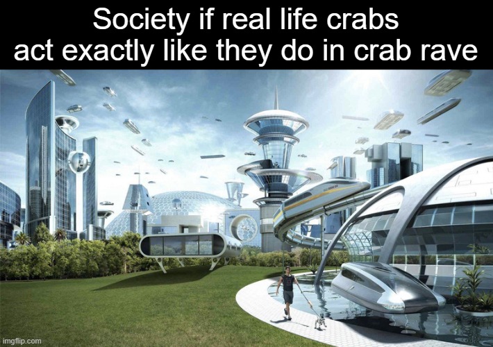 real life crabs acting like crab rave |  Society if real life crabs act exactly like they do in crab rave | image tagged in the future world if,crab rave | made w/ Imgflip meme maker