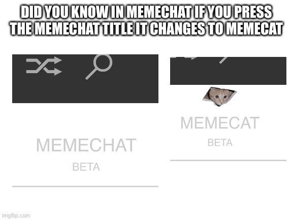 I found an imgflip Easter egg | DID YOU KNOW IN MEMECHAT IF YOU PRESS THE MEMECHAT TITLE IT CHANGES TO MEMECAT | image tagged in blank white template,memecat,memechat,easter egg,imgflip | made w/ Imgflip meme maker