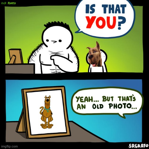 scooby remembers his glory days | image tagged in is that you yeah but that's an old photo,warner bros,dogs | made w/ Imgflip meme maker