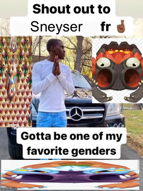 Shout out to.... Gotta be one of my favorite genders | Sneyser | image tagged in shout out to gotta be one of my favorite genders | made w/ Imgflip meme maker