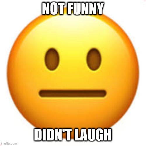 Not funny | NOT FUNNY DIDN'T LAUGH | image tagged in not funny | made w/ Imgflip meme maker