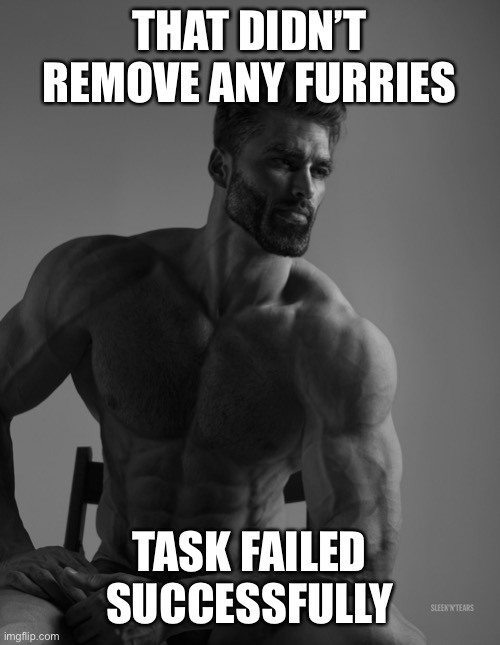 Giga Chad | THAT DIDN’T REMOVE ANY FURRIES TASK FAILED SUCCESSFULLY | image tagged in giga chad | made w/ Imgflip meme maker