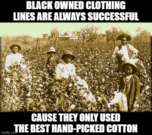 Fashion Successes | BLACK OWNED CLOTHING LINES ARE ALWAYS SUCCESSFUL; CAUSE THEY ONLY USED THE BEST HAND-PICKED COTTON | image tagged in cotton slaves | made w/ Imgflip meme maker