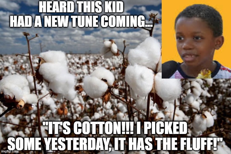 Corn Kid's Latest Viral Song | HEARD THIS KID HAD A NEW TUNE COMING... "IT'S COTTON!!! I PICKED SOME YESTERDAY, IT HAS THE FLUFF!" | image tagged in cotton fields forever | made w/ Imgflip meme maker