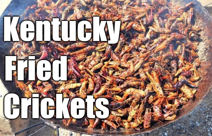 KFC (Kentucky Fried Crickets) | Kentucky; Fried; Crickets | image tagged in memes,comment section,comments,comment,kfc,kentucky fried crickets | made w/ Imgflip meme maker