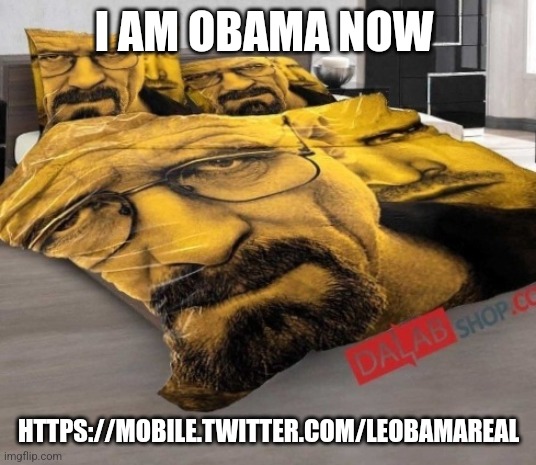 Breaking Bed | I AM OBAMA NOW; HTTPS://MOBILE.TWITTER.COM/LEOBAMAREAL | image tagged in breaking bed | made w/ Imgflip meme maker