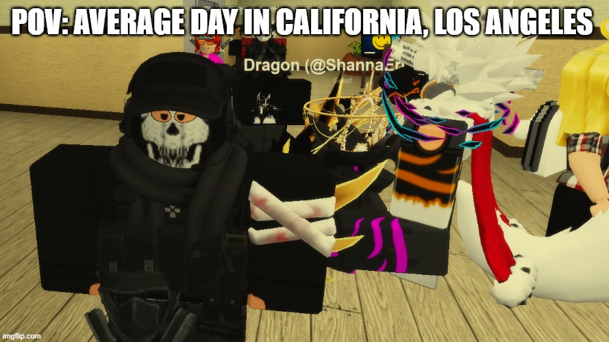 Furry meme | POV: AVERAGE DAY IN CALIFORNIA, LOS ANGELES | image tagged in furry,cod,californa,slander | made w/ Imgflip meme maker