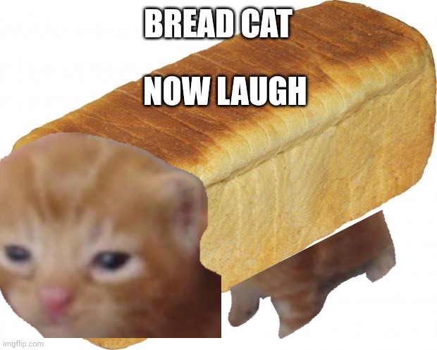 BREAD CAT NOW LAUGH | made w/ Imgflip meme maker