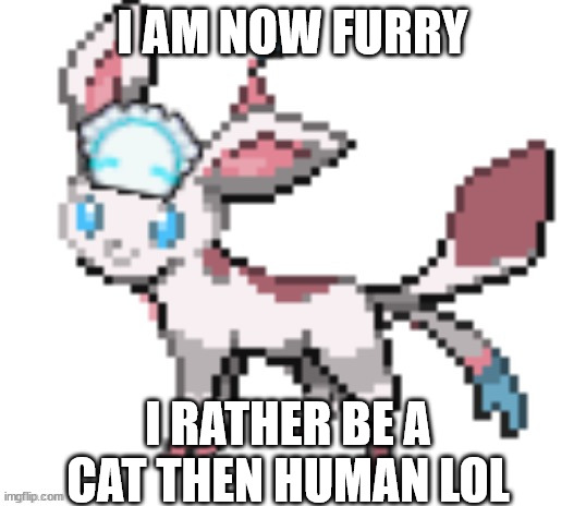 no questions | I AM NOW FURRY; I RATHER BE A CAT THEN HUMAN LOL | image tagged in sylceon | made w/ Imgflip meme maker