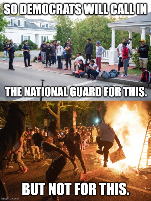 Some cities got a fast response but some they let burn. | SO DEMOCRATS WILL CALL IN; THE NATIONAL GUARD FOR THIS. BUT NOT FOR THIS. | image tagged in memes | made w/ Imgflip meme maker