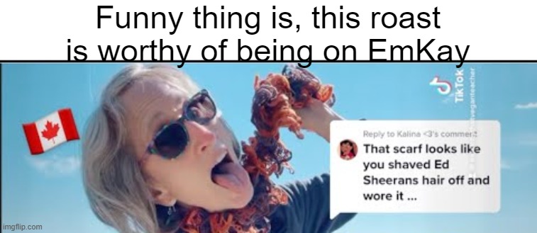 Funny thing is, this roast is worthy of being on EmKay | made w/ Imgflip meme maker