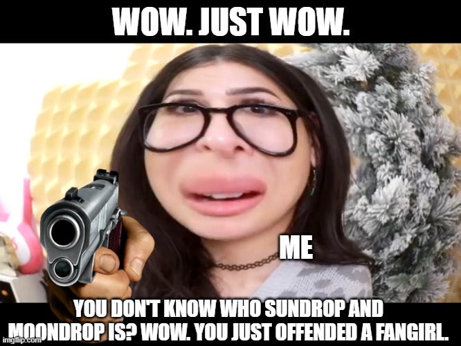 When I ask someone who Sundrop and Moondrop is but they don't know. | WOW. JUST WOW. ME; YOU DON'T KNOW WHO SUNDROP AND MOONDROP IS? WOW. YOU JUST OFFENDED A FANGIRL. | image tagged in sssniperwolfs big head,fnaf,fnaf security breach,offended,fangirl,sundrop and moondrop | made w/ Imgflip meme maker