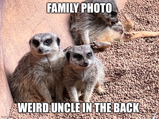 FAMILY PHOTO; WEIRD UNCLE IN THE BACK | made w/ Imgflip meme maker