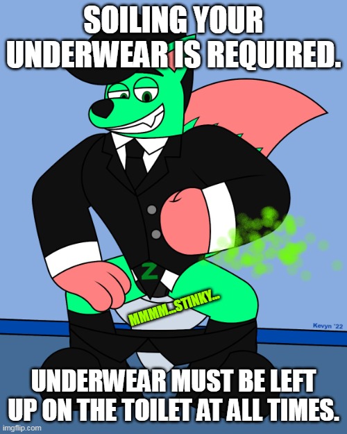 Soiling your underwear is required | SOILING YOUR UNDERWEAR IS REQUIRED. MMMM...STINKY... UNDERWEAR MUST BE LEFT UP ON THE TOILET AT ALL TIMES. | image tagged in zionnnnnn,fart,toilet,underwear | made w/ Imgflip meme maker