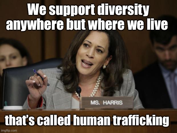 Diversity is a virtue signal | We support diversity anywhere but where we live; that’s called human trafficking | image tagged in kamala harris,politics lol | made w/ Imgflip meme maker