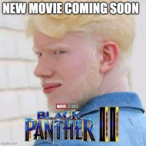 New movie coming soon | NEW MOVIE COMING SOON | image tagged in black panther,pc | made w/ Imgflip meme maker