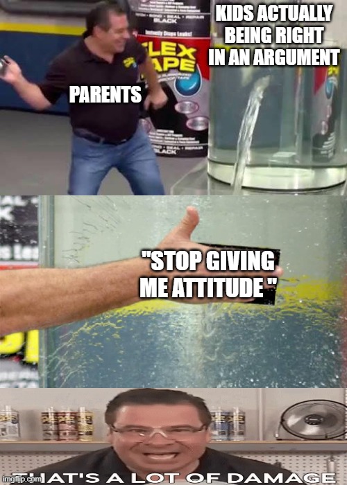 So true every ttime!!1 |  KIDS ACTUALLY BEING RIGHT IN AN ARGUMENT; PARENTS; "STOP GIVING ME ATTITUDE " | image tagged in flex tape,lol,true facts | made w/ Imgflip meme maker