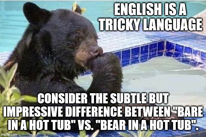 English is a tricky language | ENGLISH IS A TRICKY LANGUAGE; CONSIDER THE SUBTLE BUT IMPRESSIVE DIFFERENCE BETWEEN "BARE IN A HOT TUB" VS. "BEAR IN A HOT TUB". | image tagged in bear,hot tub | made w/ Imgflip meme maker