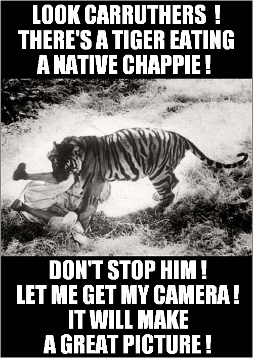 Holiday Snaps From 1936 ! | LOOK CARRUTHERS  !
THERE'S A TIGER EATING
A NATIVE CHAPPIE ! DON'T STOP HIM !
LET ME GET MY CAMERA !
 IT WILL MAKE 
A GREAT PICTURE ! | image tagged in tiger,eating,native,different times,dark humour | made w/ Imgflip meme maker