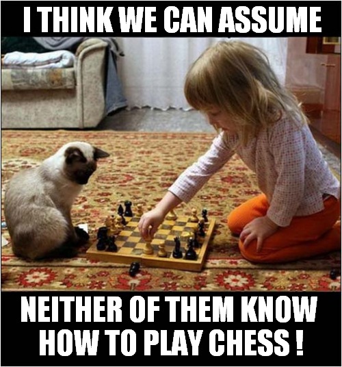 Confused Cat | I THINK WE CAN ASSUME; NEITHER OF THEM KNOW
 HOW TO PLAY CHESS ! | image tagged in cats,chess,confused | made w/ Imgflip meme maker