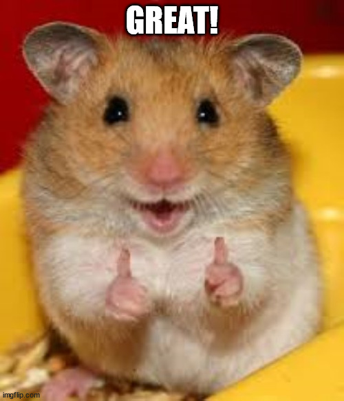 Thumbs up hamster  | GREAT! | image tagged in thumbs up hamster | made w/ Imgflip meme maker