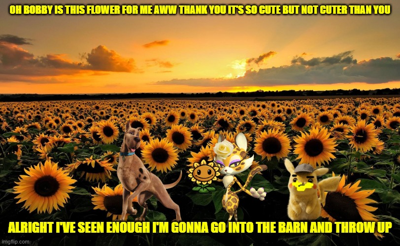 scooby's appreciation | OH BOBBY IS THIS FLOWER FOR ME AWW THANK YOU IT'S SO CUTE BUT NOT CUTER THAN YOU; ALRIGHT I'VE SEEN ENOUGH I'M GONNA GO INTO THE BARN AND THROW UP | image tagged in field of sunflowers,dogs,cats,romance,warner bros | made w/ Imgflip meme maker