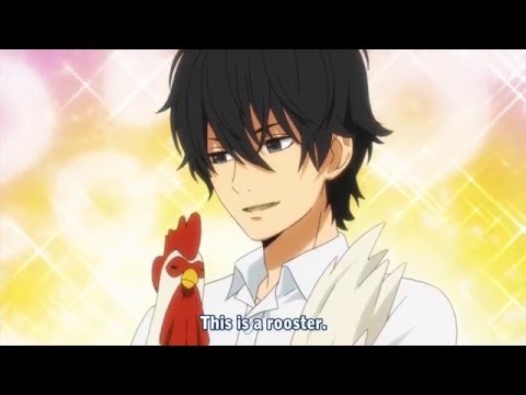 High Quality haru yoshida and his rooster Blank Meme Template