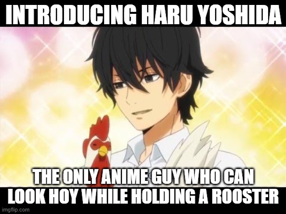 perfect simp material ( 8 months ago) | INTRODUCING HARU YOSHIDA; THE ONLY ANIME GUY WHO CAN LOOK HOY WHILE HOLDING A ROOSTER | image tagged in haru yoshida and his rooster,fun,anime | made w/ Imgflip meme maker