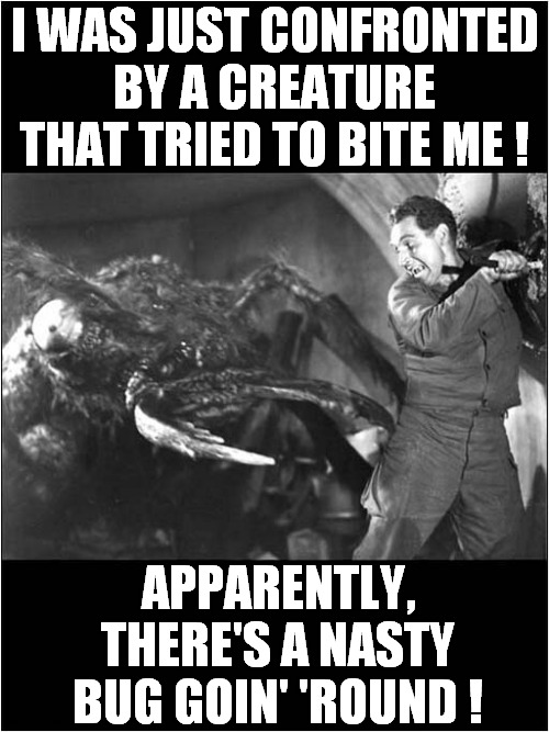 Be Careful Out There ! | I WAS JUST CONFRONTED
BY A CREATURE THAT TRIED TO BITE ME ! APPARENTLY, THERE'S A NASTY BUG GOIN' 'ROUND ! | image tagged in be careful,creatures,attack,nasty,bug,them | made w/ Imgflip meme maker