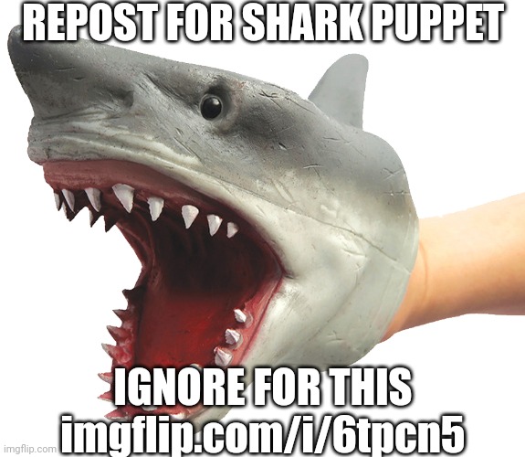 Yeah | REPOST FOR SHARK PUPPET; IGNORE FOR THIS imgflip.com/i/6tpcn5 | image tagged in shark puppet | made w/ Imgflip meme maker