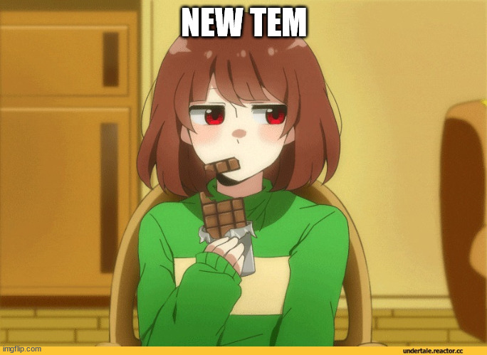 chara eating choccy | NEW TEM | image tagged in chara eating choccy | made w/ Imgflip meme maker