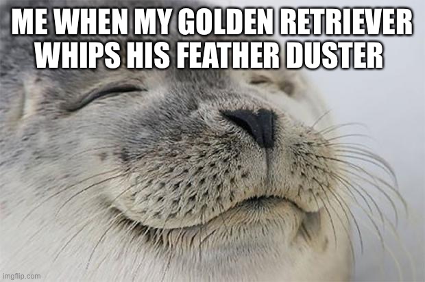 Satisfied Seal Meme | ME WHEN MY GOLDEN RETRIEVER WHIPS HIS FEATHER DUSTER | image tagged in memes,satisfied seal | made w/ Imgflip meme maker