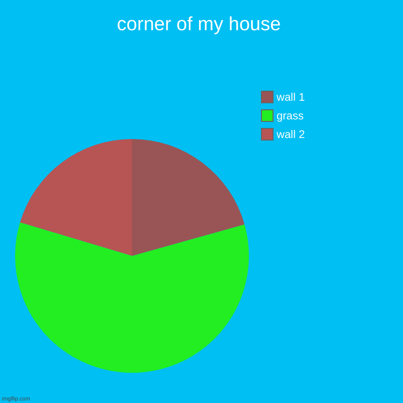 corner of my house | wall 2, grass, wall 1 | image tagged in charts,pie charts | made w/ Imgflip chart maker