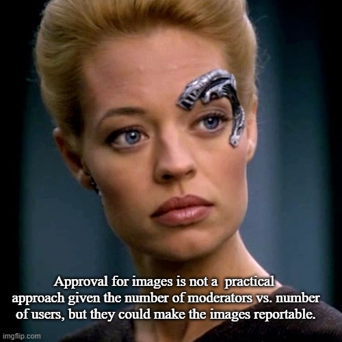 Seven of Nine Serious | Approval for images is not a  practical  approach given the number of moderators vs. number of users, but they could make the images reporta | image tagged in seven of nine serious | made w/ Imgflip meme maker