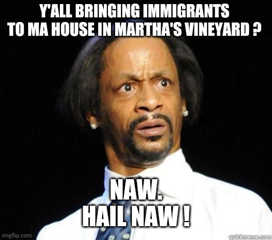 That Silly Privlidge | Y'ALL BRINGING IMMIGRANTS TO MA HOUSE IN MARTHA'S VINEYARD ? NAW.
HAIL NAW ! | image tagged in katt williams wtf meme,liberals,leftists,lightfoot,democrats,biden | made w/ Imgflip meme maker