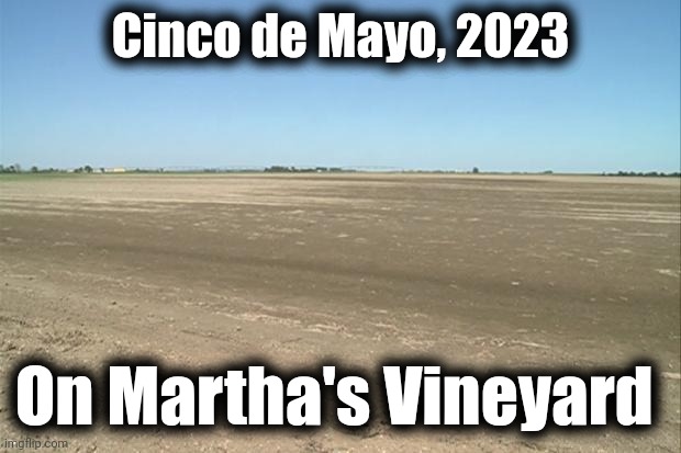 Idea from WayneUrso | Cinco de Mayo, 2023; On Martha's Vineyard | image tagged in barren field,memes,martha's vineyard,cinco de mayo,migrants,gone | made w/ Imgflip meme maker