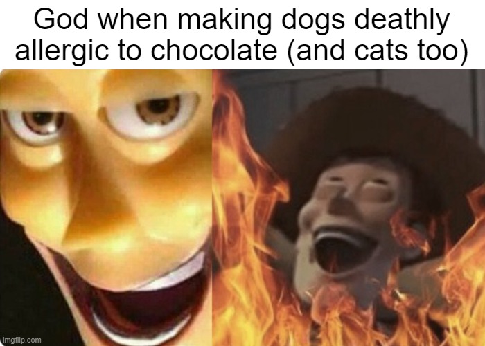 Why, God? Why?! | God when making dogs deathly allergic to chocolate (and cats too) | image tagged in god,cats,dogs,chocolate,evil woody,funny | made w/ Imgflip meme maker