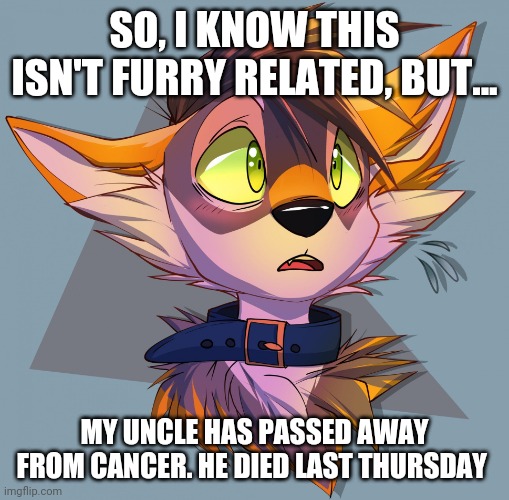 My respects to him. He shall be missed. Rest in peace | SO, I KNOW THIS ISN'T FURRY RELATED, BUT... MY UNCLE HAS PASSED AWAY FROM CANCER. HE DIED LAST THURSDAY | image tagged in furry art,rest in peace | made w/ Imgflip meme maker