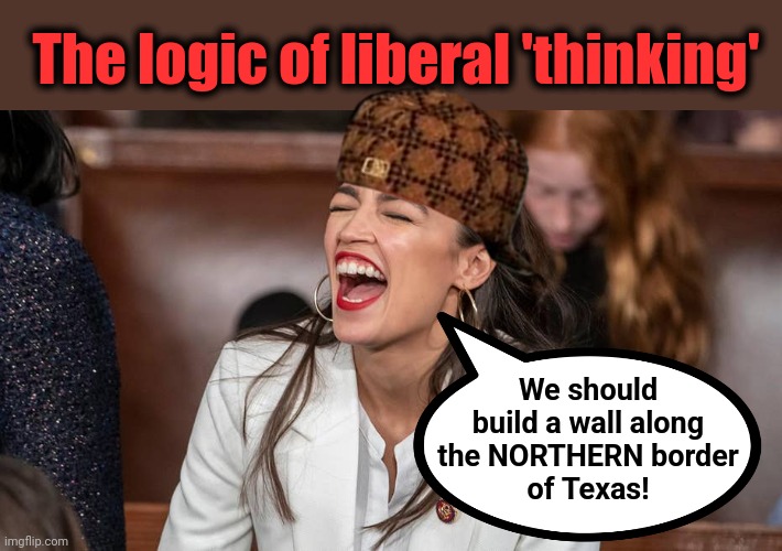 AOC, professional idiot | The logic of liberal 'thinking'; We should
build a wall along
the NORTHERN border
of Texas! | image tagged in memes,liberals,democrats,migrants,texas,wall | made w/ Imgflip meme maker