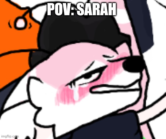 POV: SARAH | made w/ Imgflip meme maker