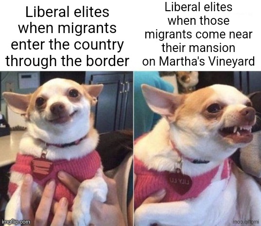 The same open border liberals who allowed migrants into the country are now acting like NIMBYs towards those migrants | Liberal elites when those migrants come near their mansion on Martha's Vineyard; Liberal elites when migrants enter the country through the border | image tagged in happy dog then angry dog,martha's vineyard,migrants,illegal immigration,immigration,liberal hypocrisy | made w/ Imgflip meme maker