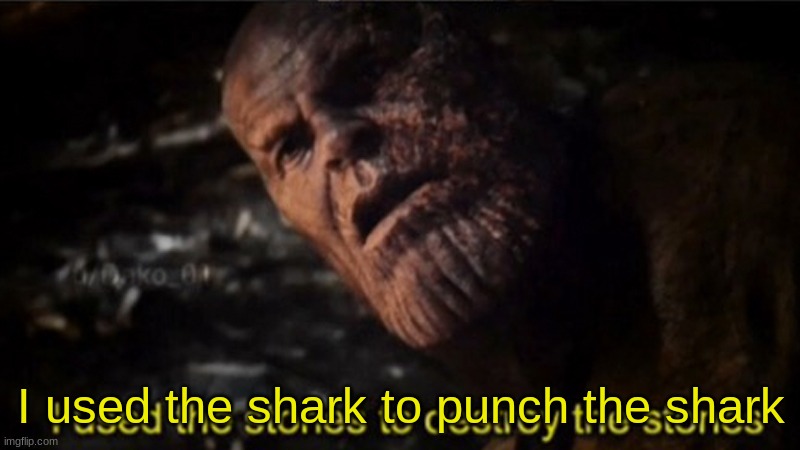 Thanos I used the stones to destroy the stones | I used the shark to punch the shark | image tagged in thanos i used the stones to destroy the stones | made w/ Imgflip meme maker