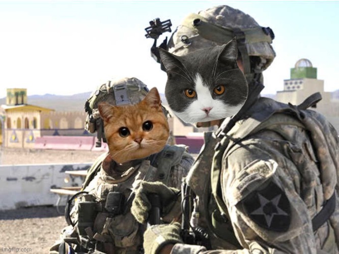 United Cats of America Soldiers | made w/ Imgflip meme maker