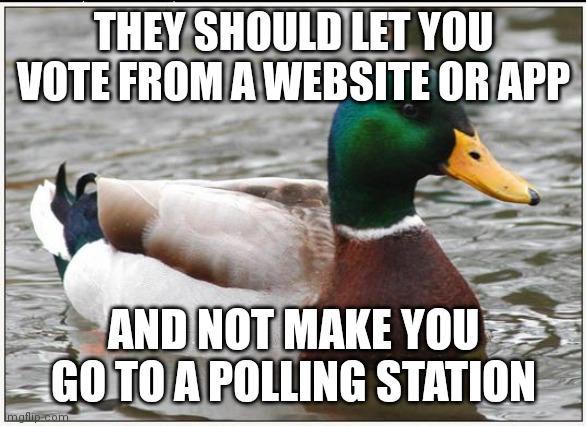 Actual Advice Mallard Meme | THEY SHOULD LET YOU VOTE FROM A WEBSITE OR APP; AND NOT MAKE YOU GO TO A POLLING STATION | image tagged in memes,actual advice mallard | made w/ Imgflip meme maker