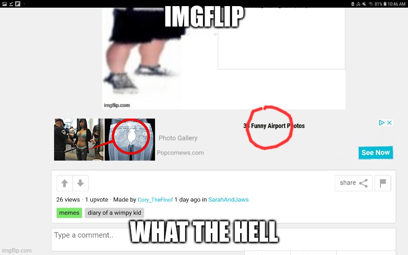 IMGFLIP; WHAT THE HELL | made w/ Imgflip meme maker